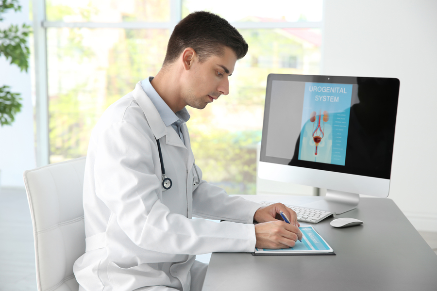 Urology - Reasons to See a Specialist in This Field
