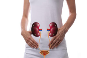 urinary tract infection pathophysiology