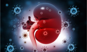 A kidney infection could be an underlying cause of UTI-like symptoms.