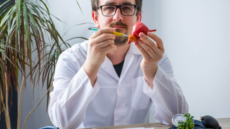 Bladder Trabeculation: Understanding Causes, Symptoms, and Treatment