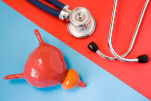 difficulty urinating muscular organ